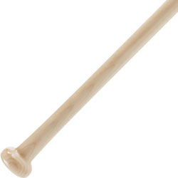 mizuno fungo bat sale
